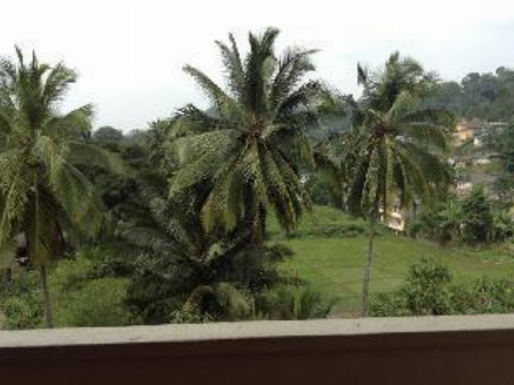 Devon Hotel Image 7
